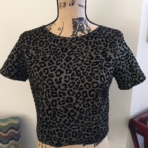 AQUA NWT • Leopard Print Cropped Top. Medium.